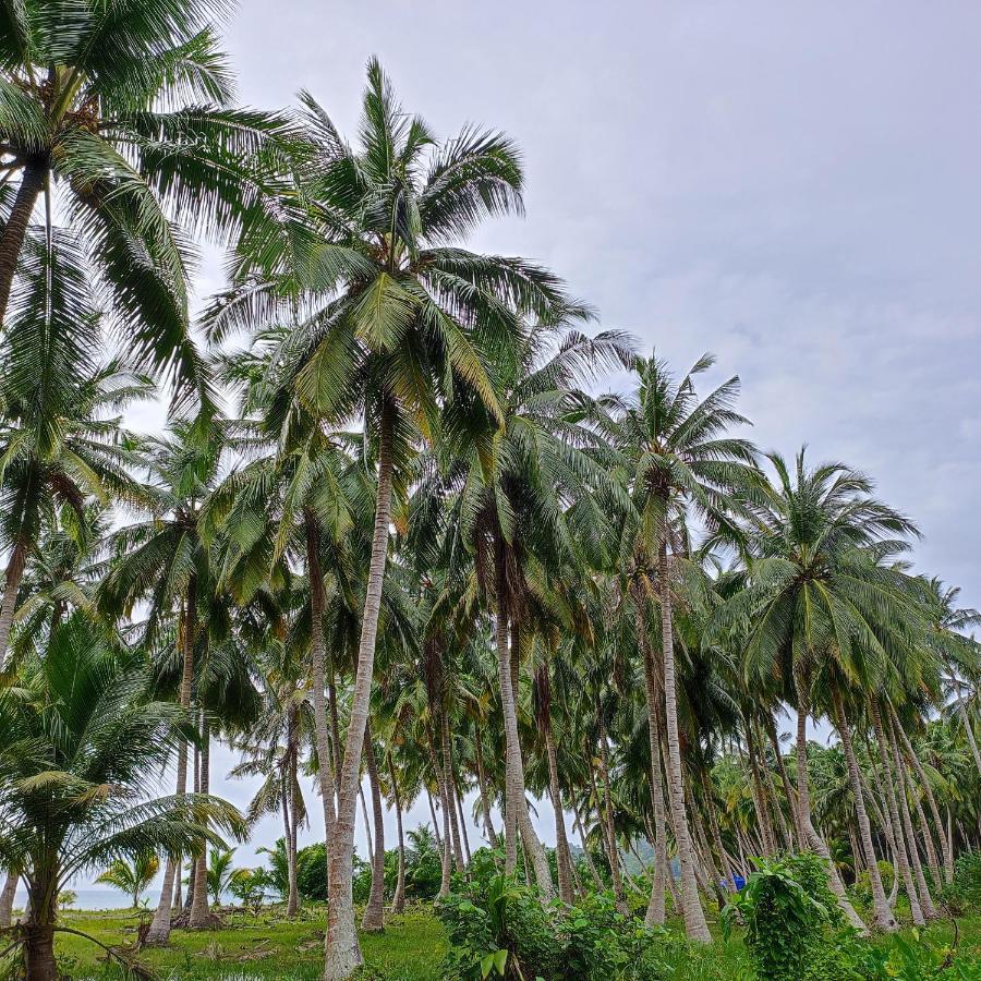 Honey Moon Beach Resort ANDAMAN AND NICOBAR ISLANDS Exterior photo